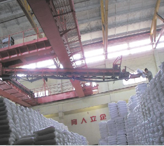 桥式拆码垛米兰(中国)一站式服务平台机